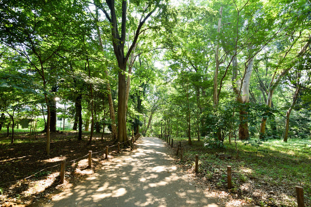 林試の森公園