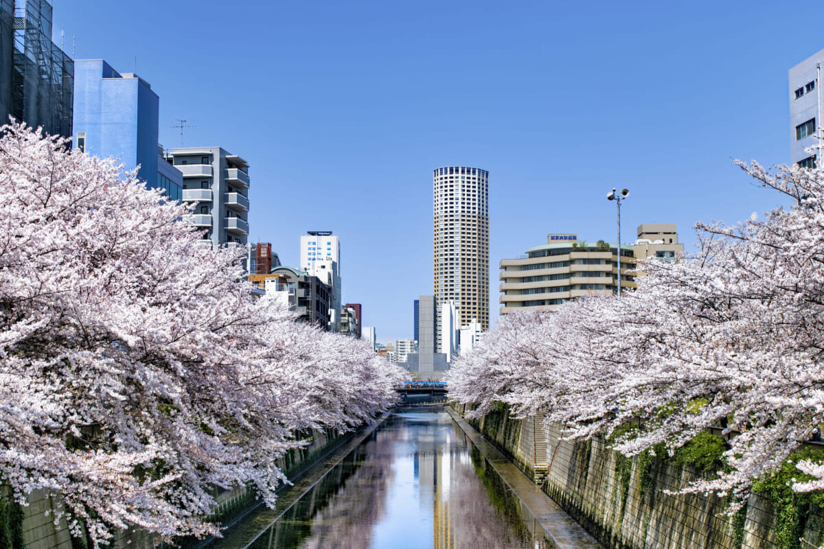 駒沢オリンピック公園