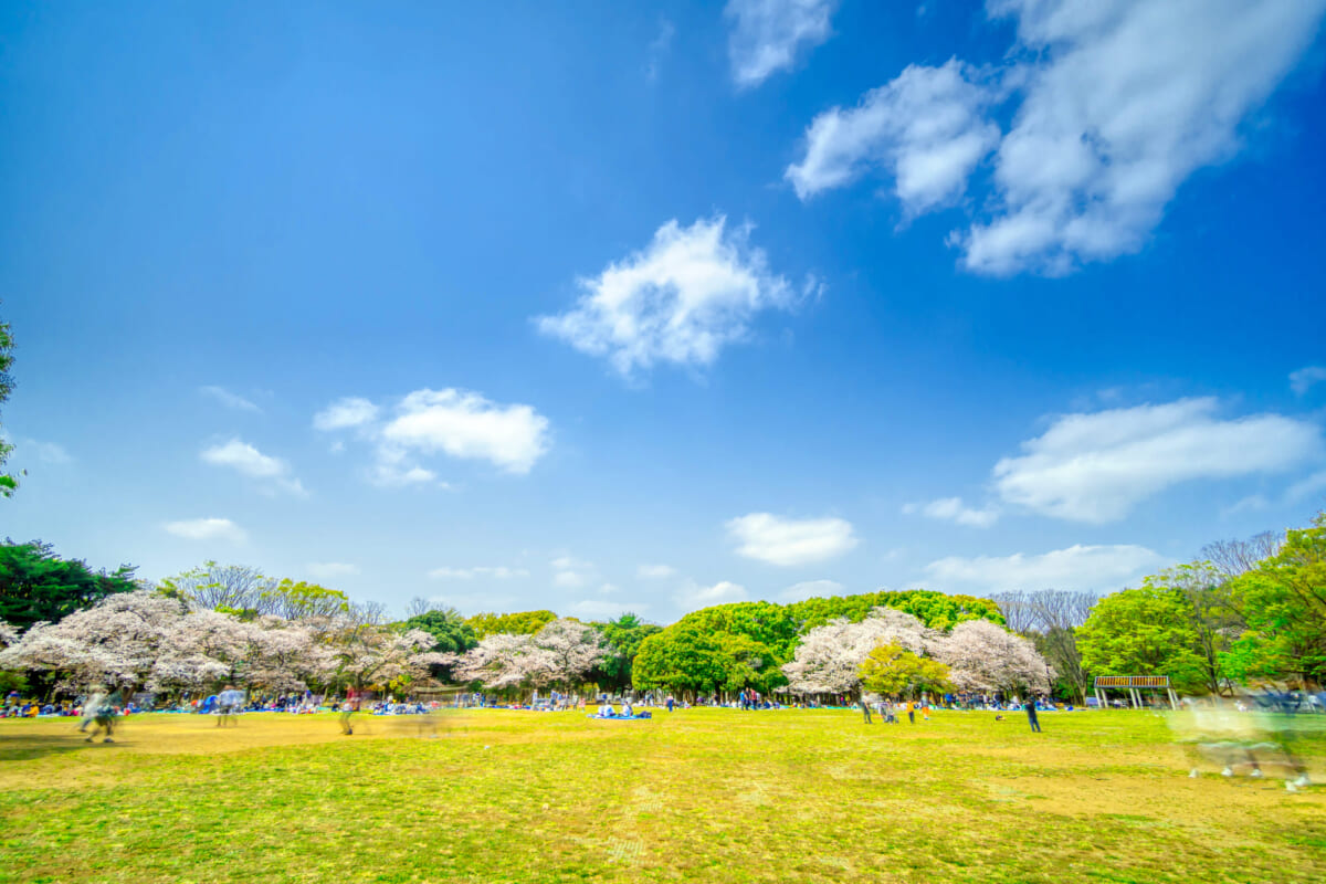 代々木公園