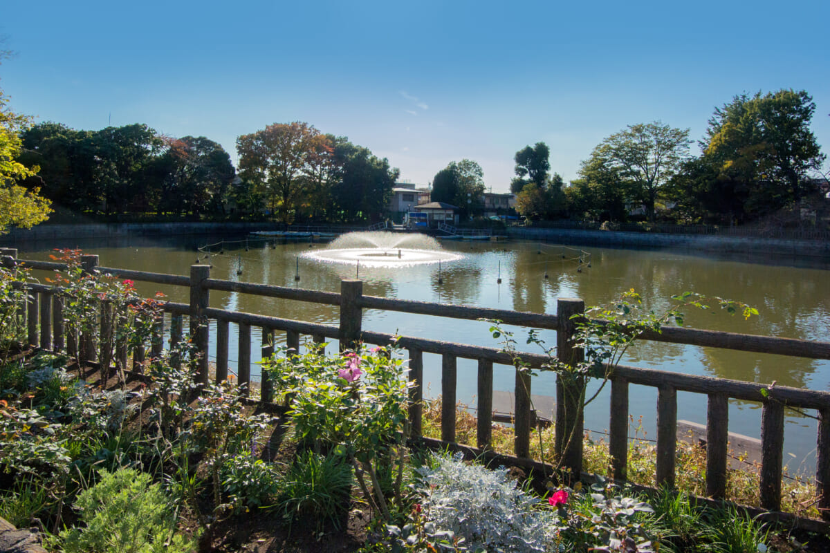 碑文谷公園