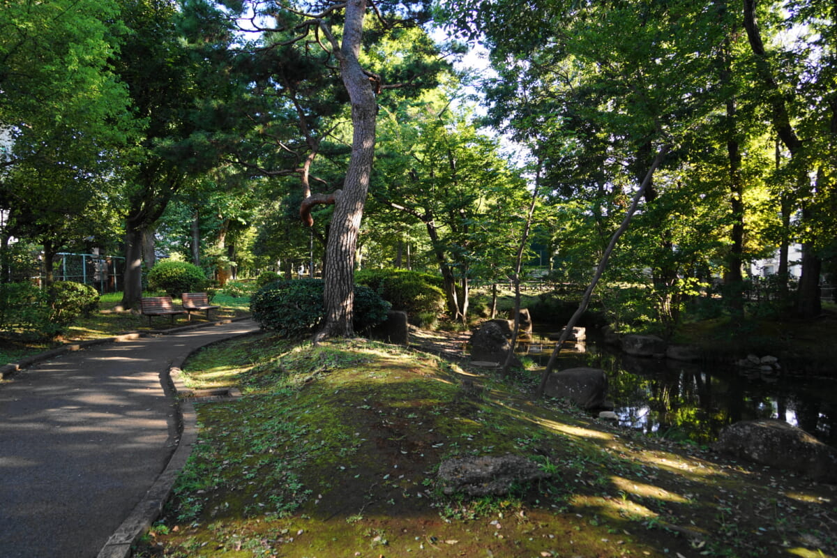 駒沢緑泉公園