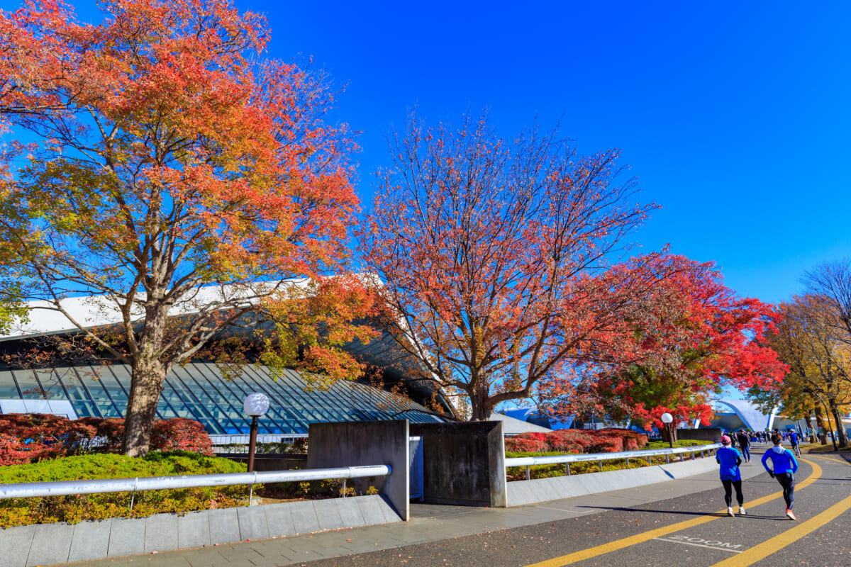 駒沢オリンピック公園